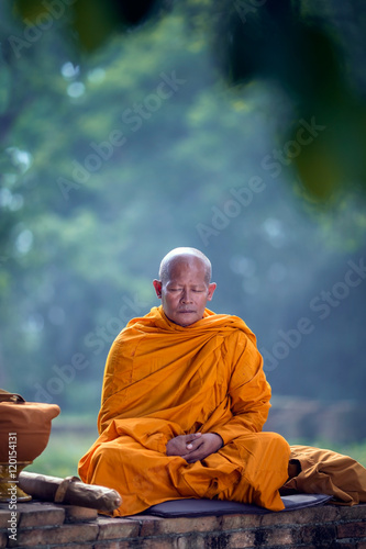 Asian monk meditating under a tree