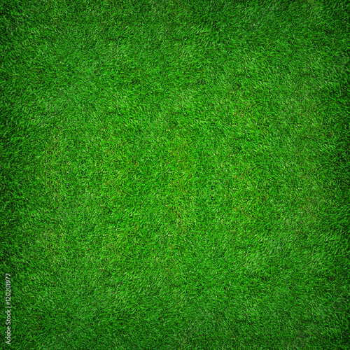 Abstract natural background of green grass pattern and texture b