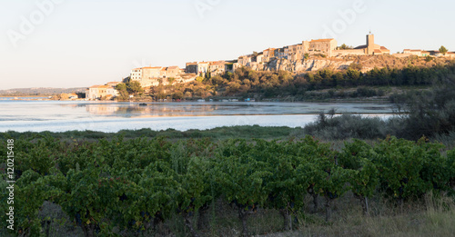 Paysage à Bages