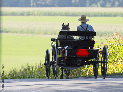 Amish Horse and Buggy