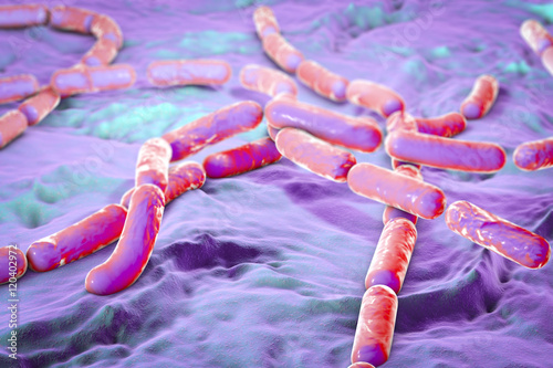 Bacillus cereus, gram-positive spore-producing bacteria arranged in chains which cause food poisoning. 3D illustration