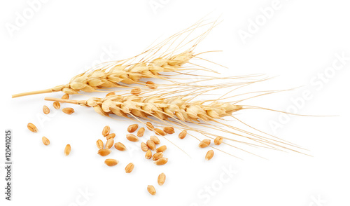 Ears of wheat