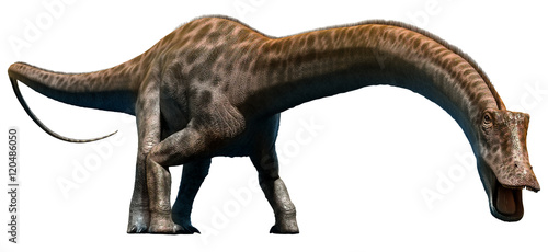 Diplodocus from the Jurassic era 3D illustration