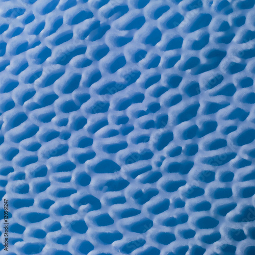 abstract spongy texture of the bottom of the cap mushroom tinted blue. macro photo
