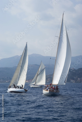 Classic yacht regatta