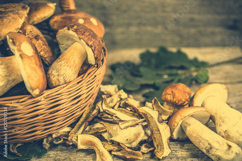 Dried mushrooms and fresh harvested boletus mushroom in a basket