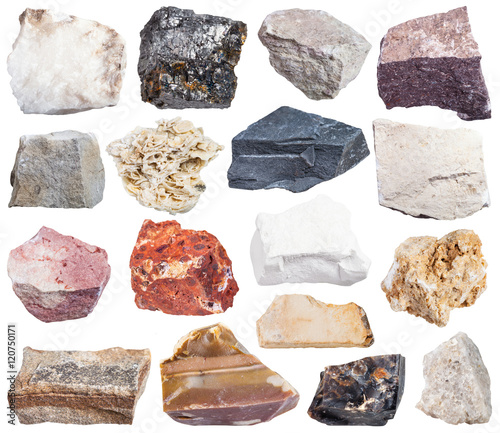 set of sedimentary rock specimens