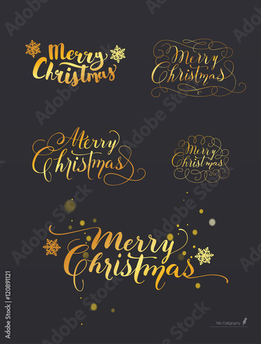 Set of Hand-Drawn Lettering based on a Nib and Brush Calligraphy. Snowflakes on the background. Merry Christmas. Vector.