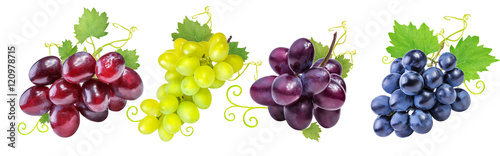 Collection of grapes isolated on white