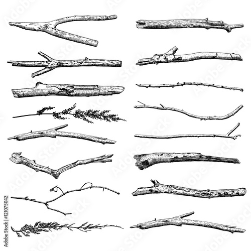 Set of Driftwood, ground floor hand drawn ink rustic design elements collection. Dry tree branches and wooden twigs. Vintage highly detailed classic ink drawings bundle art in engraved style. Vector.