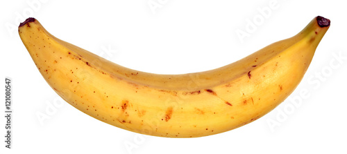 a plantain banana