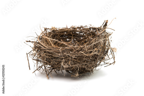 bird's nest isolated