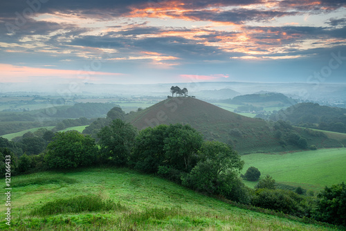 Colmer's Hill in Dorset