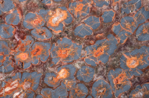 Surface of natural mineral rhyolite or rainforest jasper.