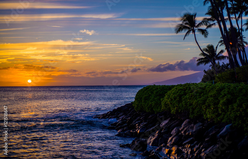 coconut palms, lava shoreline, maui sunset
