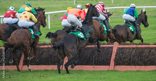 Race horses and jockeys jumping a hurdle during a race