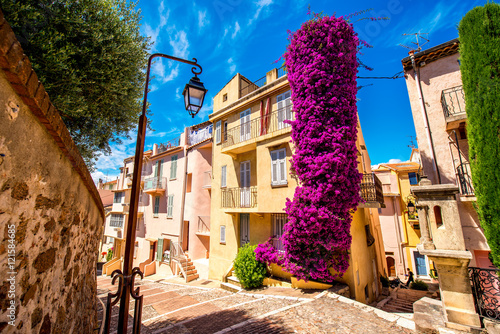 Beautiful residential buildings with colonial architecture with big flower bush in Cannes city in French riviera.