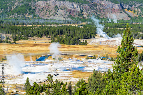 Upper Geyser Basin Landscape