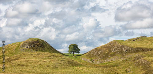 Sycamore Gap on Hadrian's Wall.