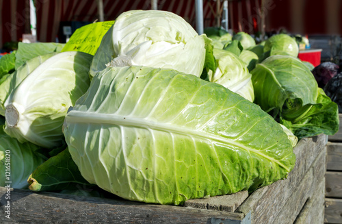 frisches Filderkraut vom Gemüsebauer auf dem Wochenmarkt