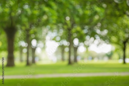 Blur view of trees 