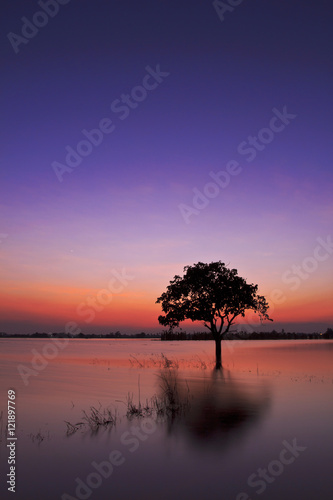 Twilight sunset sky reflect on the water with silhouette tree landscape