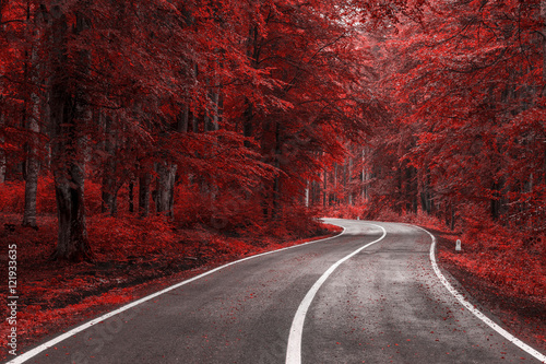 Jesieni droga przez czerwieni opuszcza las