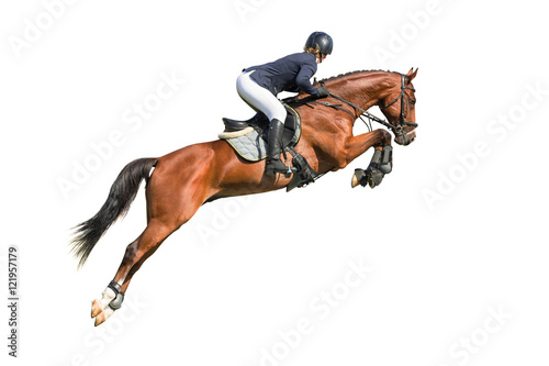 Rider jumping on a horse isolated on white