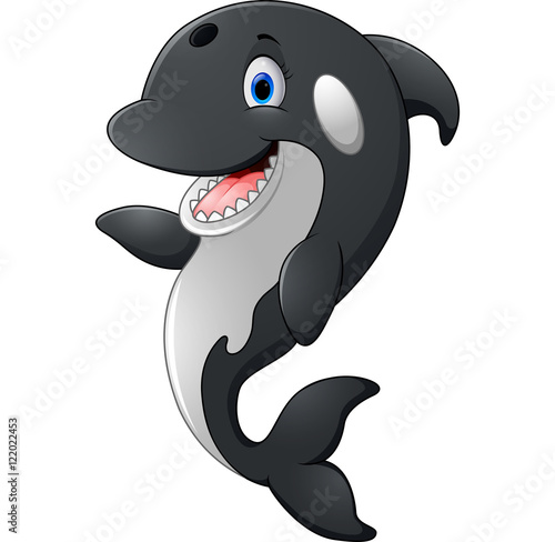 Killer whale cartoon posing