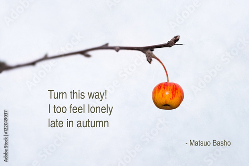 Autumn Crab Apple Haiku