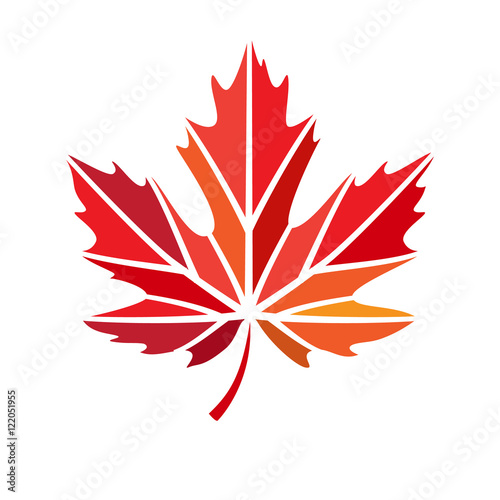 vector stylize logo with red maple leaf