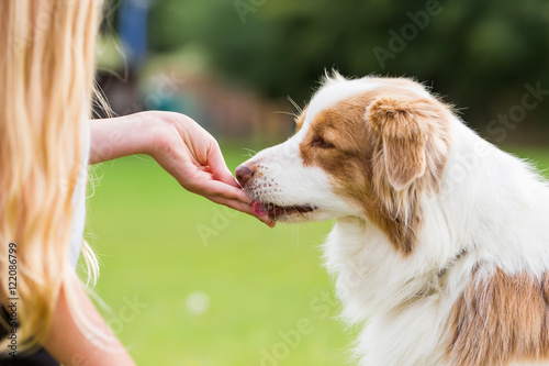 girl gives a dog a treat