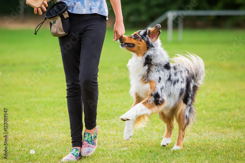 girl with dog on a dog training field