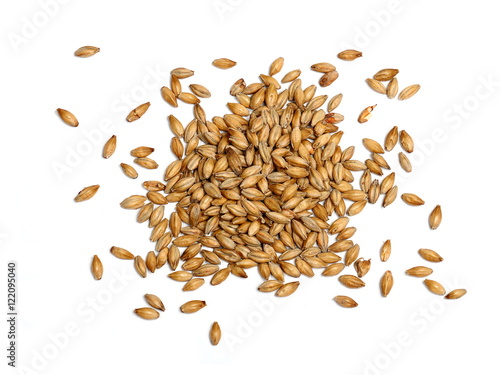 Malted Barley on White Background