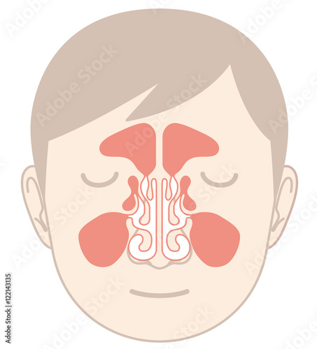 鼻の仕組み 構造