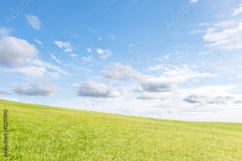 grass field under blue sky