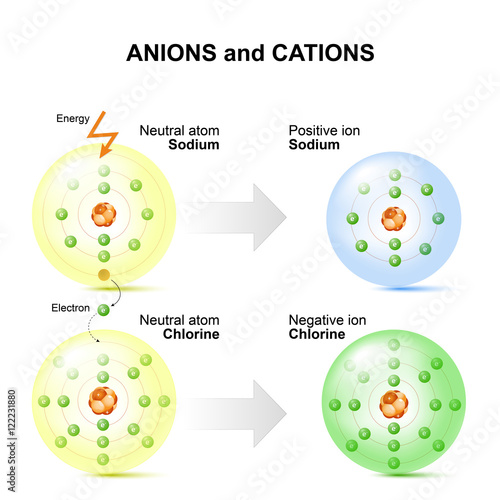 Anions and cations for example sodium and chlorine atoms.