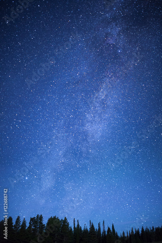 Blue dark night sky with stars above field of trees.
