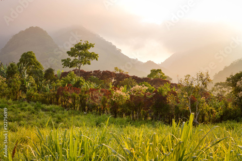 Foggy landscapes surrounding the small village of coffee growers in the highlands of Honduras. Santa Barbara National Park