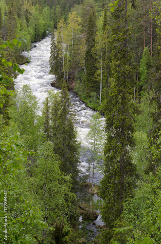 Kitka river