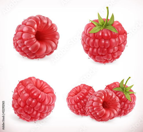 Raspberry. Sweet fruit. 3d vector icons set. Realistic illustration