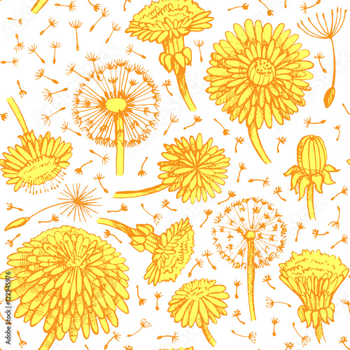 Floral pattern with doodle dandelions. EPS10 Vector illustration 