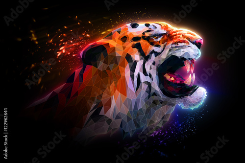 Иллюстрация рычащий тигр. Зов тигра.
