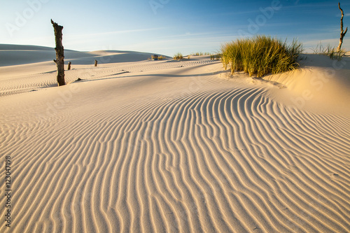 beautiful view of the coastal dunes