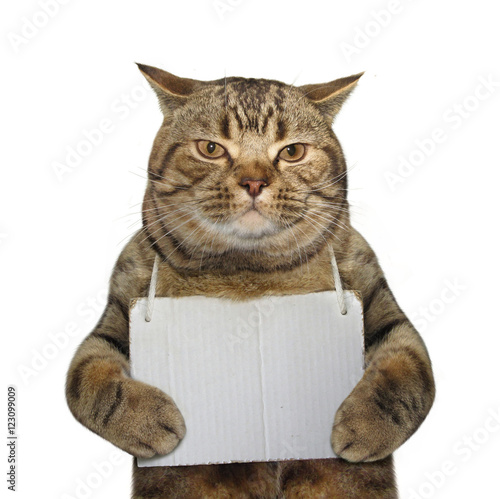 The cat with a blank sign around his neck. White background.