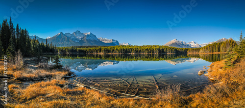 Herbert Lake