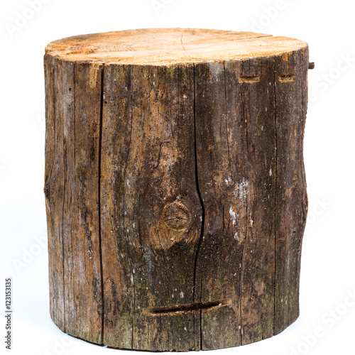 log isolated on a white background