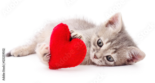 Kitten with red heart.