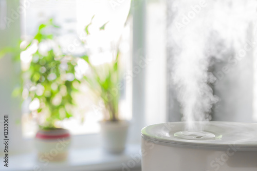 Humidifier spreading steam