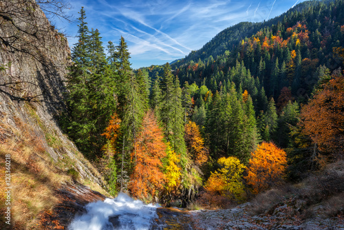Zadziwiający widok jesień las w Rhodope górach, Bułgaria